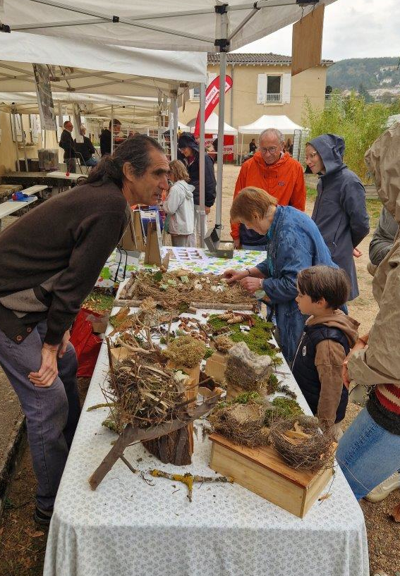 Philippe apporte quelques explications sur la nature de certains nids et de leurs occupants...