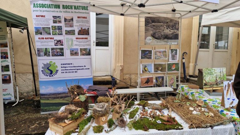Notre stand bien approvisionné en...nids d'oiseaux !