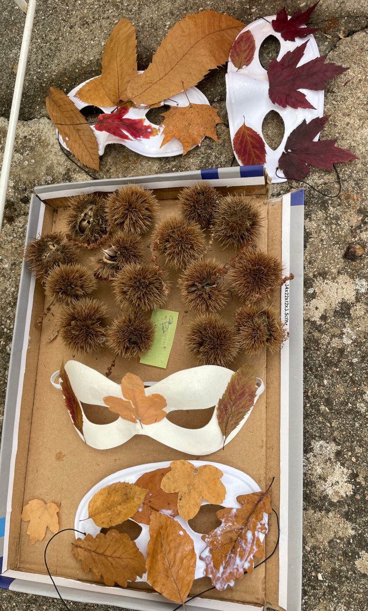Admirez ces beaux masques !